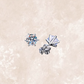 Martini Solitaire Studs (0.3 Carat - 2 Carat)
